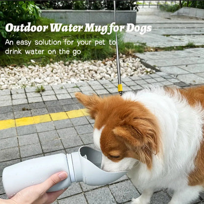 Folding Pet Water Dispenser - PAW