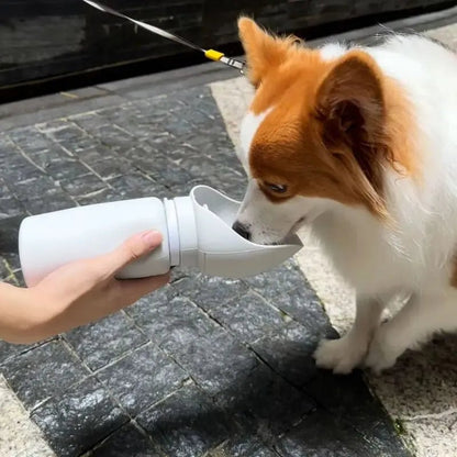 Folding Pet Water Dispenser - PAW