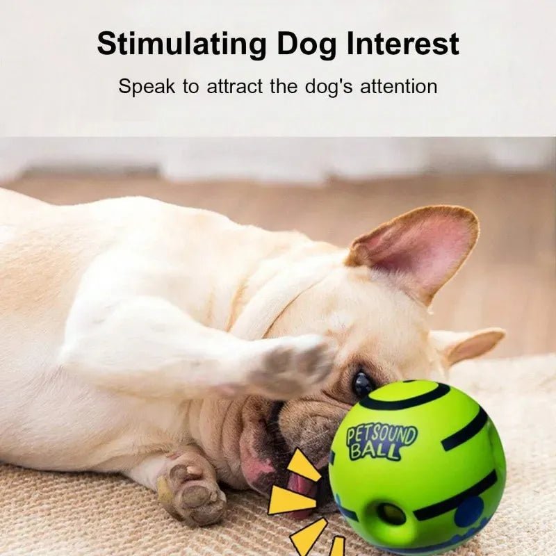 Giggling Glow Ball for Dogs - PAW