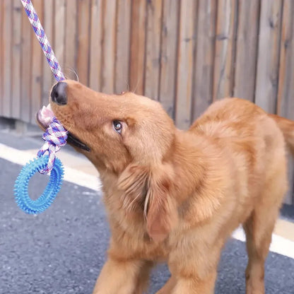 Interactive Pet Toy Ring - PAW