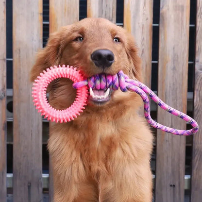 Interactive Pet Toy Ring - PAW