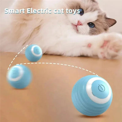 Magic Cat Ball Toy - PAW