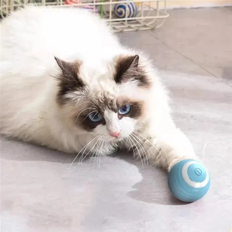 Magic Cat Ball Toy - PAW