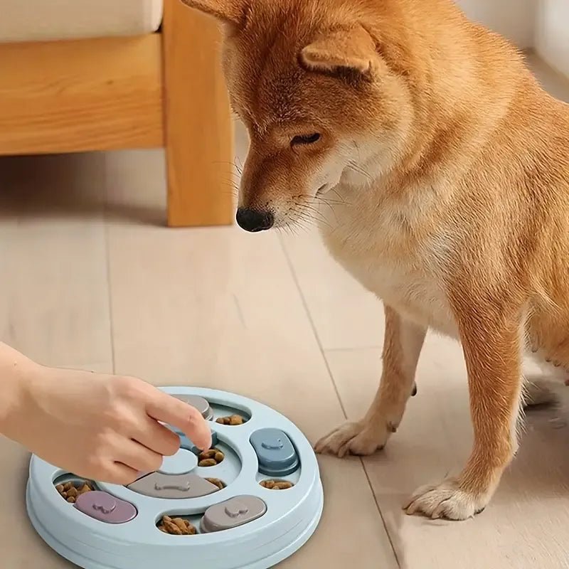 Paw Puzzle Feeder - PAW