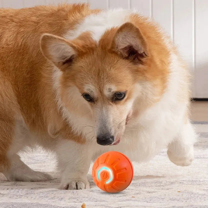 Smart USB Jumping Ball Toy - PAW