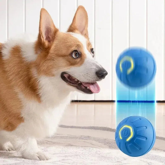 Smart USB Jumping Ball Toy - PAW