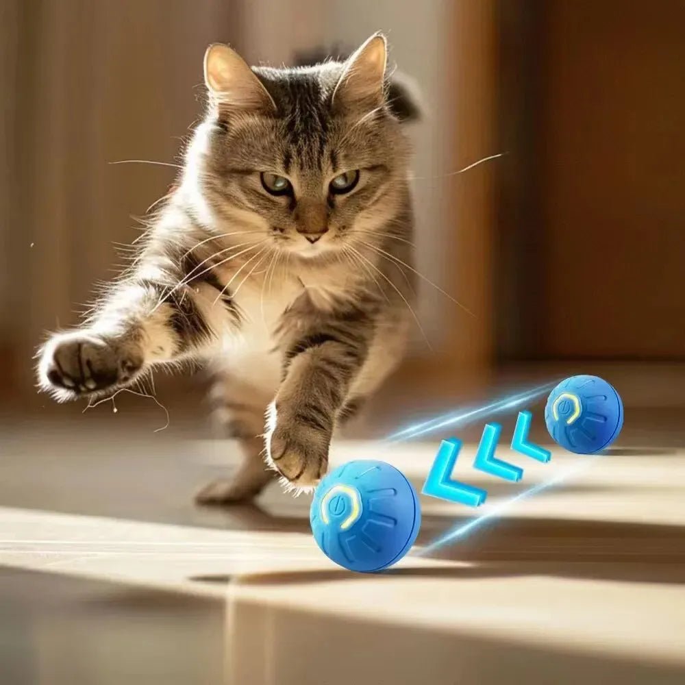 Smart USB Jumping Ball Toy - PAW