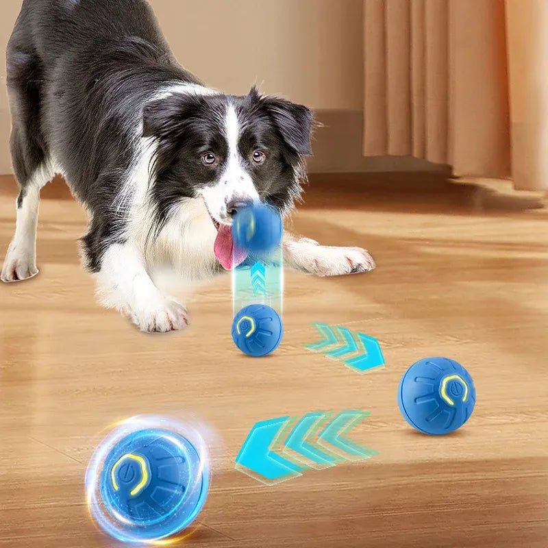 Smart USB Jumping Ball Toy - PAW