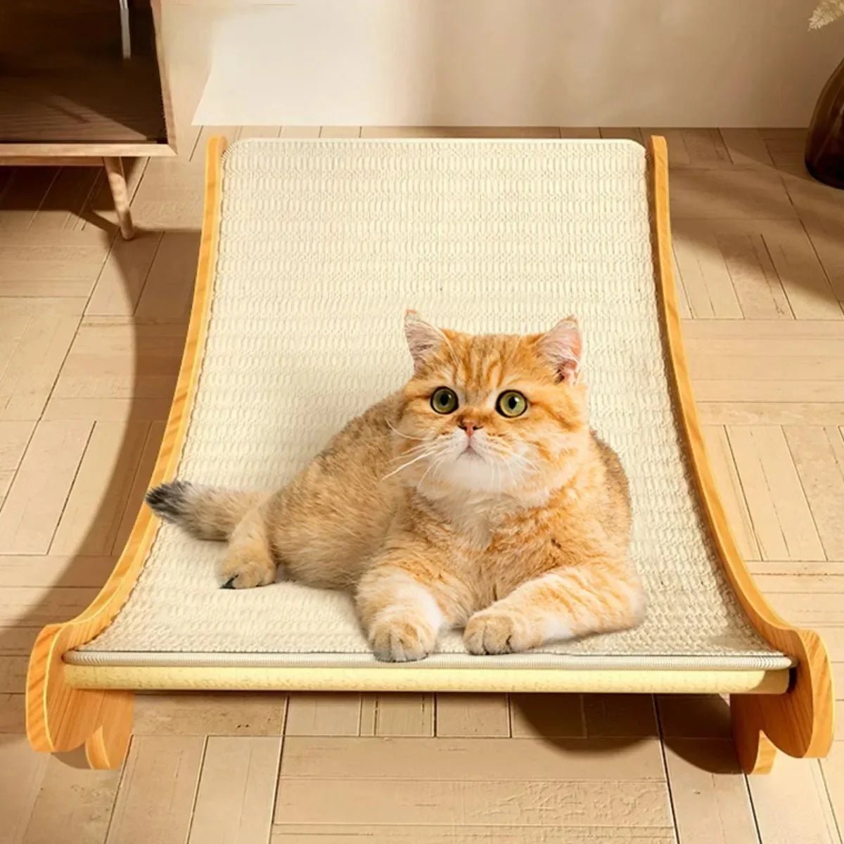 Wooden Cat Scratching Recliner - PAW